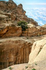 Ruins of the ancient city of Petra