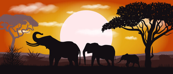 African savanna elephant silhouette. Landscape. Africa. Bright vector illustration. Wildlife.