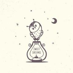 Obraz na płótnie Canvas Owl and Lantern