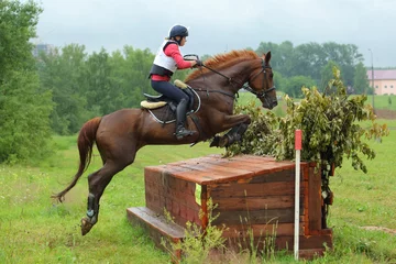 Zelfklevend Fotobehang Young equestrian girl jumping events obstacle with sports horse © horsemen