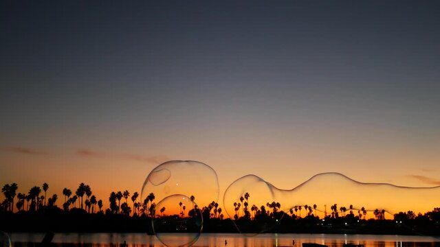 Palm trees silhouettes on sunset ocean beach, giant big soap bubbles, California coast, USA. Purple orange sky, Mission Bay Park, San Diego, tropical sundown. Huge colorful soap foam in wind breeze.