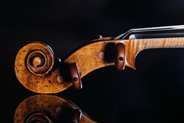 Studio shot of violin scroll and tuning pegs