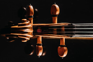 Studio shot of violin scroll and tuning pegs