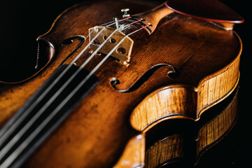 Studio shot of violin lying against black background