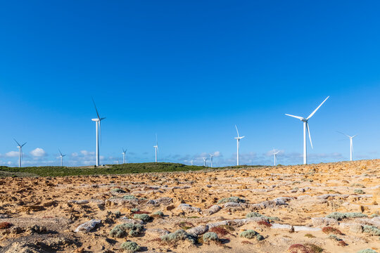 Australia, Victoria, Cape Bridgewater, Clear blue sky over wind farm turbines