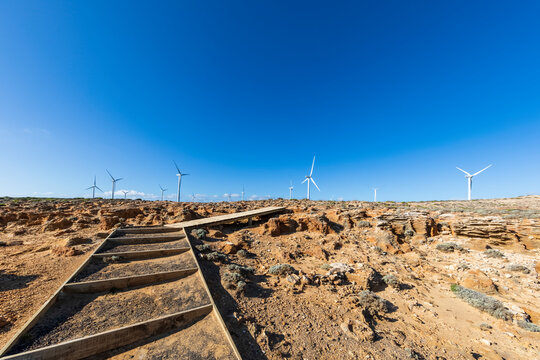 Australia, Victoria, Cape Bridgewater, Clear blue sky over wind farm turbines