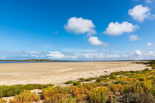 Australia, South Australia, Parnka Point beach in Coorong National Park