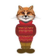 Illustrations of a fox in a sweater. A kind Fox and loves a warm sweater so as not to freeze in winter. White background. Red, orange, brown, white.