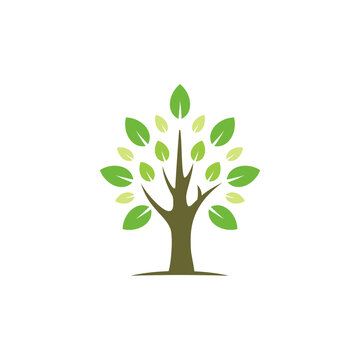Simple tree with green leaves logo 