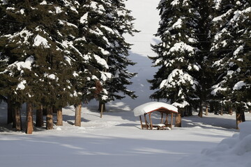 Beautiful white wooden gazebo in a winter park against the backdrop of snowy trees. Artvin.Turkey