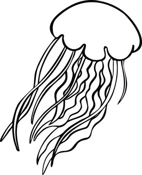 Line sea jellyfish symbol  hand drawn