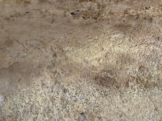concrete wall texture may used as background . old cement wall texture background, cement surface texture of concrete, gray concrete backdrop wallpaper