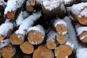 雪が積もった木材