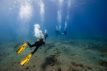 Scuba divers over ocean floor undersea