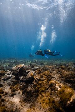 Young Friends Scuba Diving Over Ocean Floor Undersea