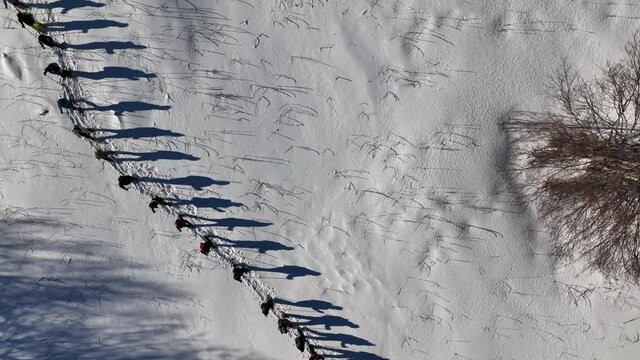 Escursionisti in fila sulle montagne innevate passeggiano con le ciaspole.
A piedi con le ciaspele per i sentieri di montagna innevati. Vista aerea.