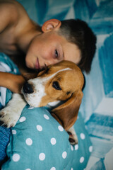 Teenage boy and dog lie on the bed and hug. Cute beagle puppy