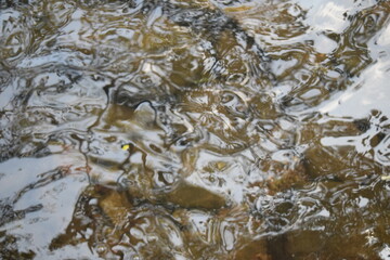 waterfalls at Goa in India 