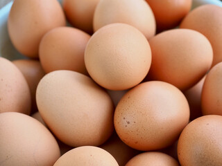 신선한 갈색계란, 음식, 요리재료
