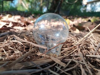 Light bulb on the ground
