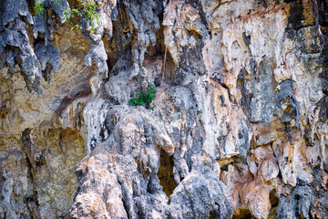 Textured rock stone background.