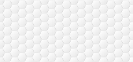 Hexagon background. Abstract gray hexagonal shape template. Honeycomb wallpaper.Vector.