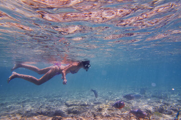 Obraz premium Young woman snorkeling underwater in the sea corals and fishes.