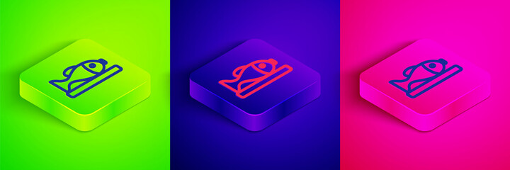 Isometric line Served fish on a plate icon isolated on green, blue and pink background. Square button. Vector