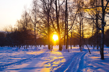 Bright sunset in winter park. Trail from ski slope.