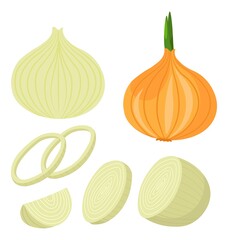 Onion ripe vegetable sliced, cooking dishes vector