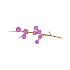 Vector illustration of a blueberry branch on a white background.