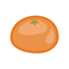 On a white background, a fresh citrus fruit illustration