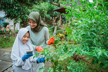 Asian mother and daughter using a smartphone while gardening