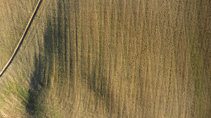 Aerial view of a worked field