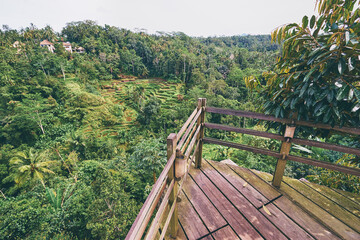 View poin. Travel by Bali. Beautiful landscape with green terraces, jungle and resort.