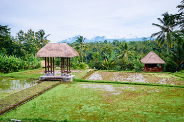 Fototapeta na wymiar Beautiful green balinese landscape with pavilion on rice field with mountains view.