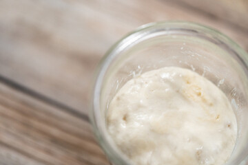 Sourdough starter