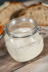 Sourdough starter