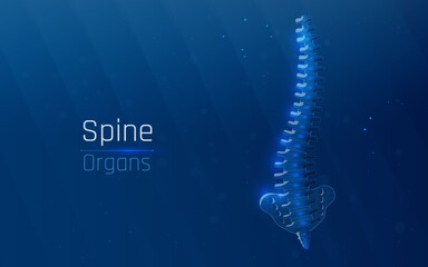 Abstract mesh line and dot physiotherapy human spine. Low poly Pain area surgery operation. Polygonal render female back hernia illustration