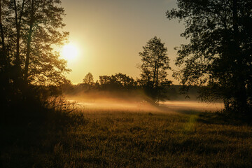 Sunrise over the meadow in the morning on a foggy day