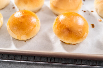 Dinner rolls