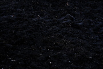 black soil. Care about environment or agriculture. Closeup. Point of view shot.