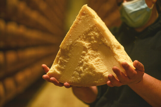 woman hands holding a slice of a parmesan hard cheese wheel in the storage of the diary manufacturing farm