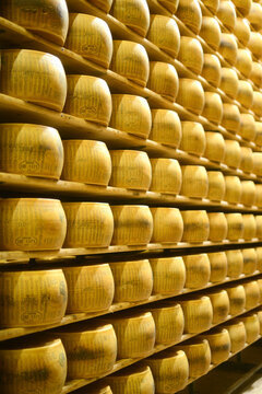 parmesan cheese wheels aging at the storage of the diary production facility in Italy