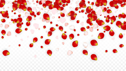 Vector Realistic Petals and Hearts Confetti. Flying Rose and Hearts on Transparent Background. Wedding Invitation Background.