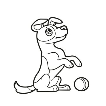 Cute cartoon dog jack russell terrier stands on his hind legs in front of the ball outlined for coloring book on white background