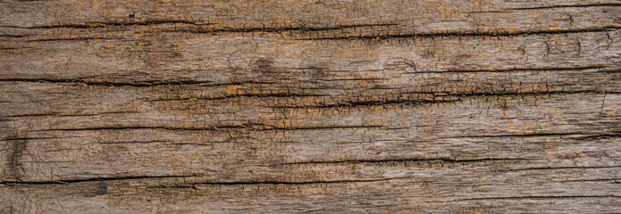Surface eroded by time, old wood background. Brown wood texture. Abstract background, blank template.