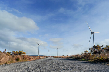 Small narrow road between fields with wing generator turbine. Warm sunny day, blue cloudy sky....