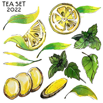 Tea set slices lemons, leaves, ginger, mint aquarelle