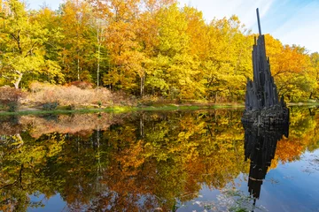 Papier Peint photo Le Rakotzbrücke Übersicht Herbstlandschaft Rakotzsee